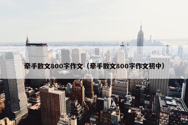 牵手散文800字作文（牵手散文800字作文初中）