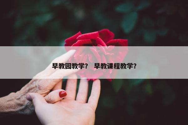 早教园教学？ 早教课程教学？