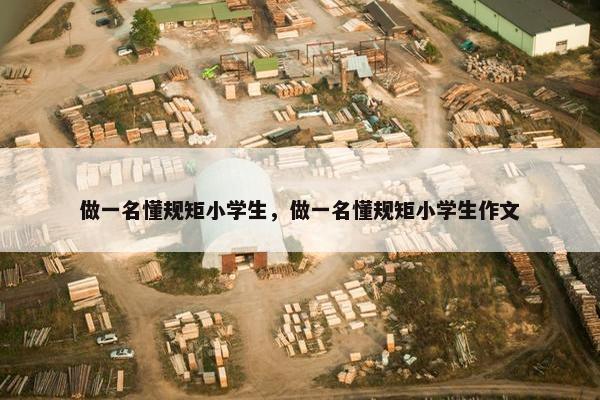 做一名懂规矩小学生，做一名懂规矩小学生作文