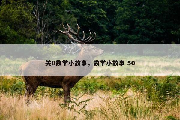 关0数学小故事，数学小故事 50