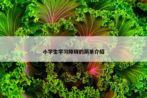 小学生学习障碍的简单介绍