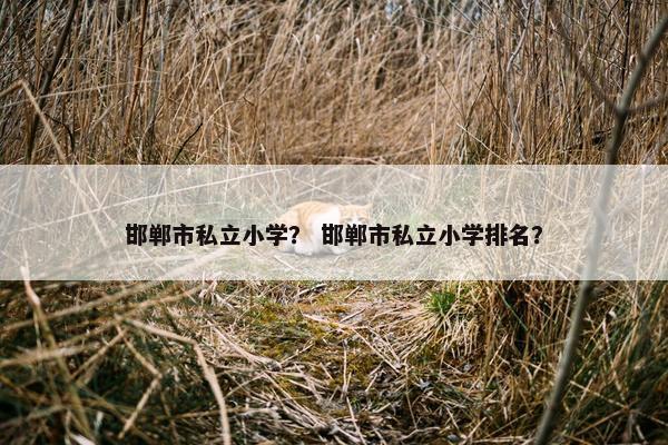 邯郸市私立小学？ 邯郸市私立小学排名？