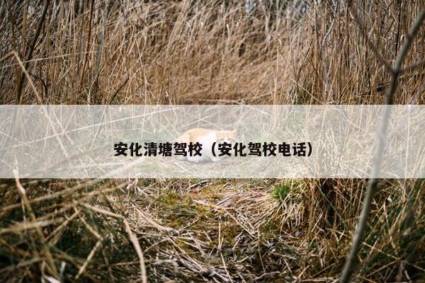 安化清塘驾校（安化驾校电话）