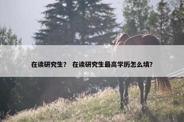 在读研究生？ 在读研究生最高学历怎么填？