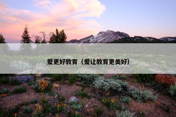 爱更好教育（爱让教育更美好）