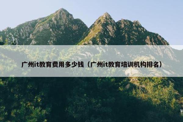 广州it教育费用多少钱（广州it教育培训机构排名）