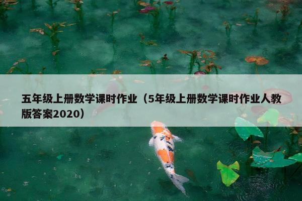 五年级上册数学课时作业（5年级上册数学课时作业人教版答案2020）