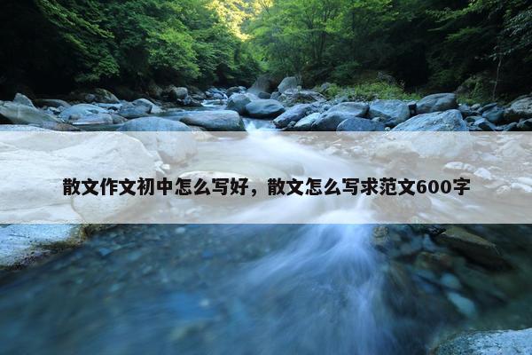 散文作文初中怎么写好，散文怎么写求范文600字