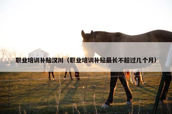 职业培训补贴汉川（职业培训补贴最长不超过几个月）