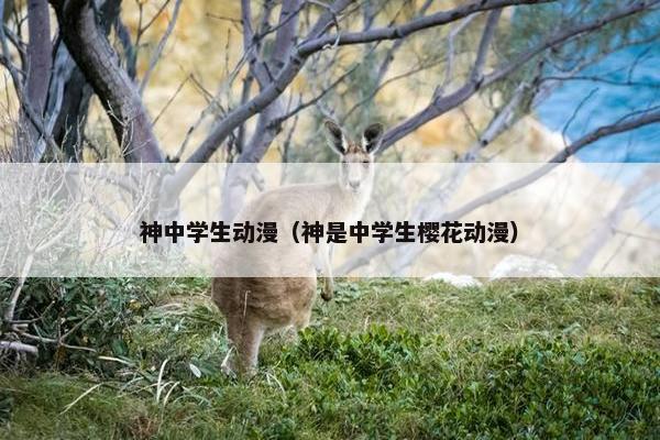 神中学生动漫（神是中学生樱花动漫）