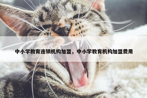 中小学教育连锁机构加盟，中小学教育机构加盟费用