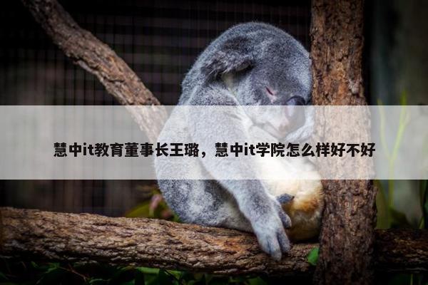 慧中it教育董事长王璐，慧中it学院怎么样好不好