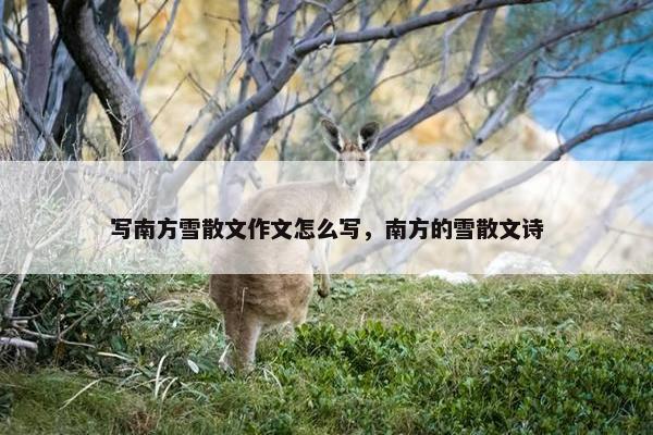 写南方雪散文作文怎么写，南方的雪散文诗
