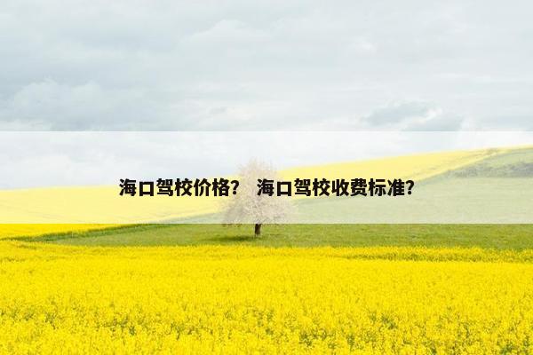 海口驾校价格？ 海口驾校收费标准？