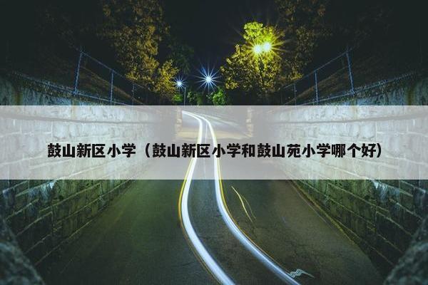 鼓山新区小学（鼓山新区小学和鼓山苑小学哪个好）