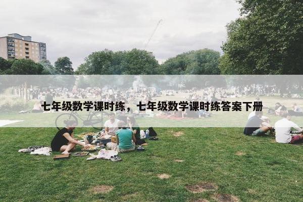 七年级数学课时练，七年级数学课时练答案下册