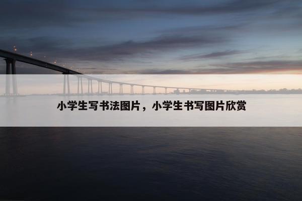 小学生写书法图片，小学生书写图片欣赏