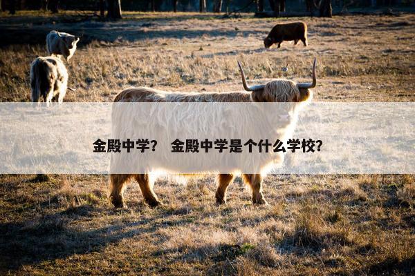 金殿中学？ 金殿中学是个什么学校？