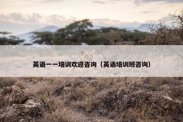 英语一一培训欢迎咨询（英语培训班咨询）