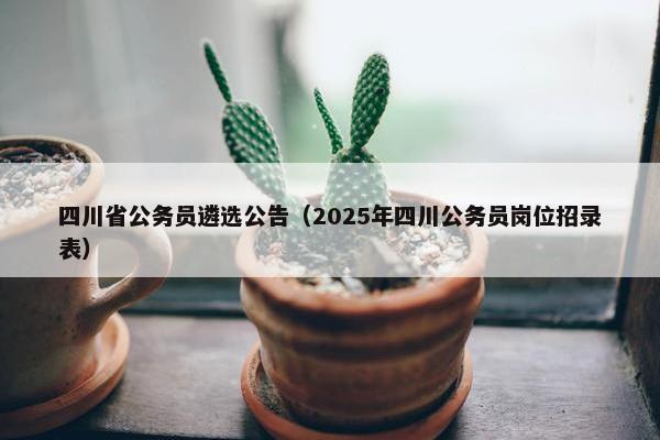 四川省公务员遴选公告（2025年四川公务员岗位招录表）
