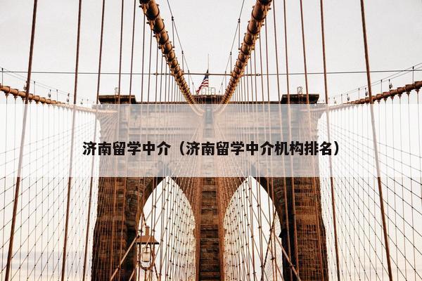 济南留学中介（济南留学中介机构排名）