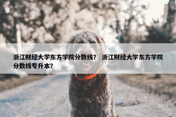 浙江财经大学东方学院分数线？ 浙江财经大学东方学院分数线专升本？