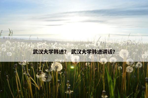 武汉大学韩进？ 武汉大学韩进讲话？