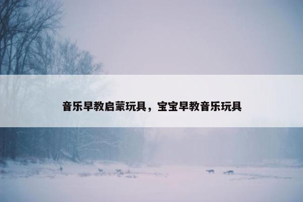 音乐早教启蒙玩具，宝宝早教音乐玩具