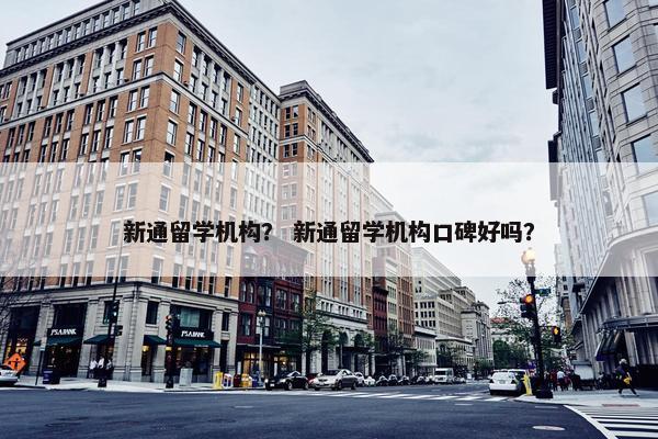 新通留学机构？ 新通留学机构口碑好吗？