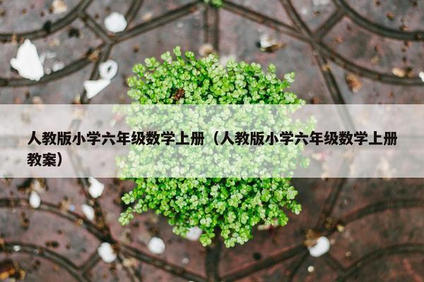 人教版小学六年级数学上册（人教版小学六年级数学上册教案）