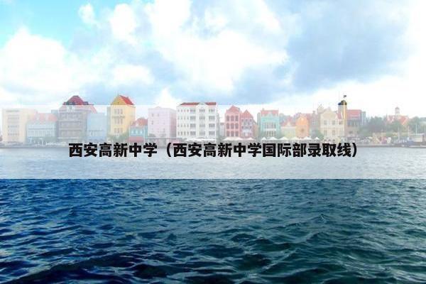 西安高新中学（西安高新中学国际部录取线）