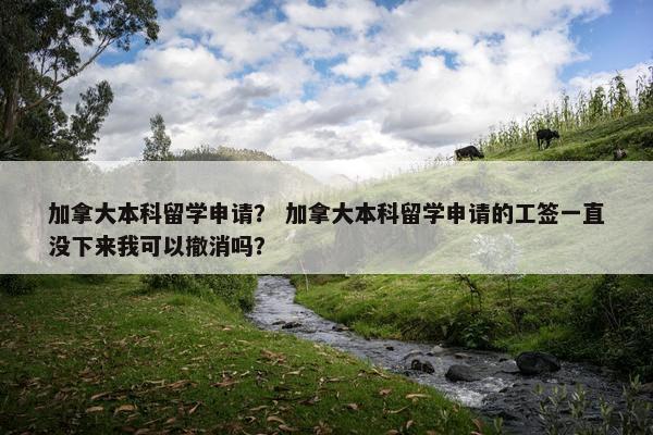 加拿大本科留学申请？ 加拿大本科留学申请的工签一直没下来我可以撤消吗？