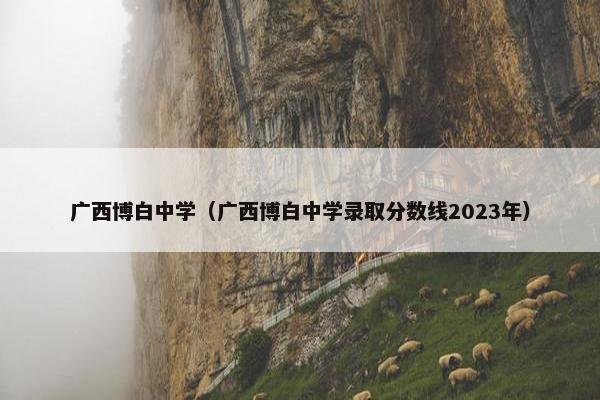 广西博白中学（广西博白中学录取分数线2023年）