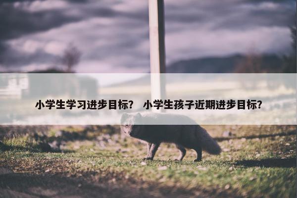 小学生学习进步目标？ 小学生孩子近期进步目标？