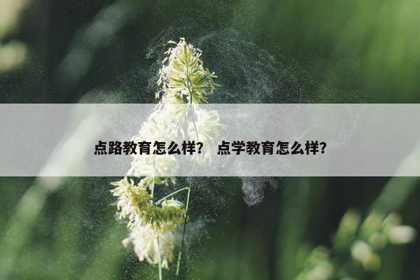 点路教育怎么样？ 点学教育怎么样？
