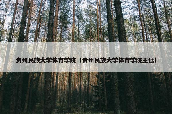 贵州民族大学体育学院（贵州民族大学体育学院王猛）