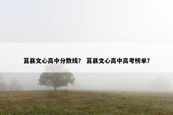 莒县文心高中分数线？ 莒县文心高中高考榜单？