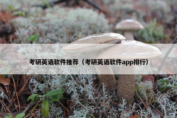 考研英语软件推荐（考研英语软件app排行）
