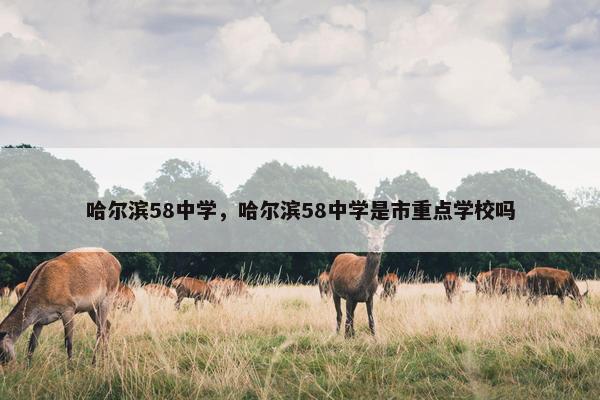 哈尔滨58中学，哈尔滨58中学是市重点学校吗