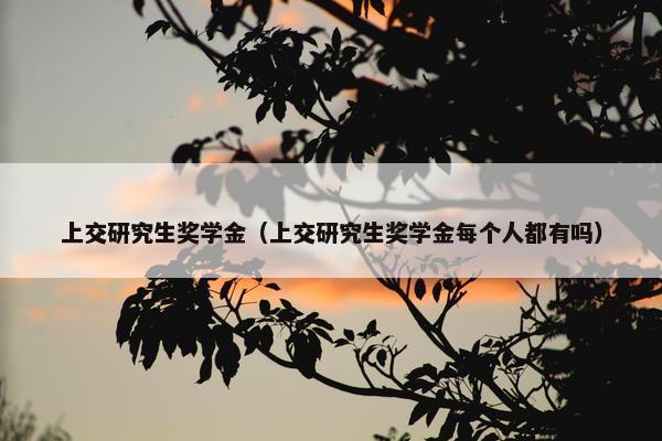 上交研究生奖学金（上交研究生奖学金每个人都有吗）