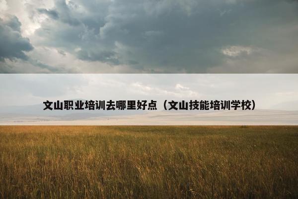 文山职业培训去哪里好点（文山技能培训学校）