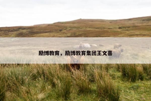 励博教育，励博教育集团王文喜