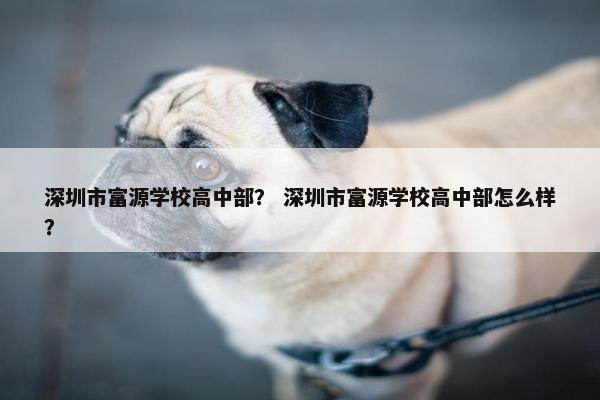 深圳市富源学校高中部？ 深圳市富源学校高中部怎么样？