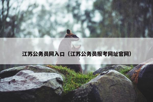 江苏公务员网入口（江苏公务员报考网址官网）