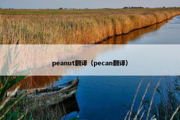 peanut翻译（pecan翻译）