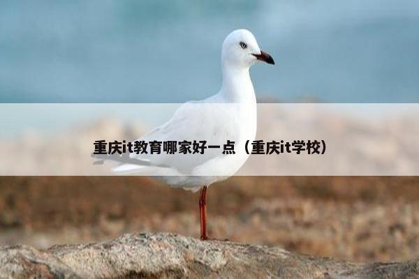 重庆it教育哪家好一点（重庆it学校）