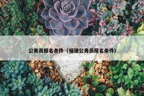 公务员报名条件（福建公务员报名条件）