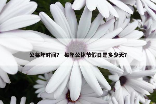 公每年时间？ 每年公休节假日是多少天？