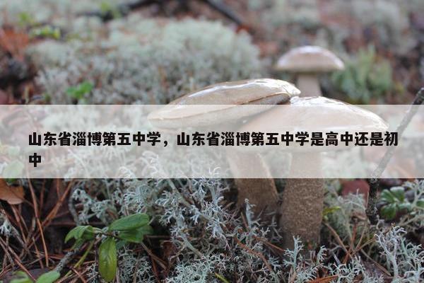 山东省淄博第五中学，山东省淄博第五中学是高中还是初中
