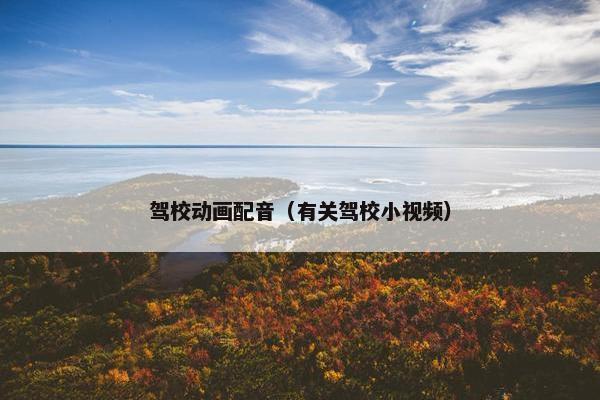 驾校动画配音（有关驾校小视频）